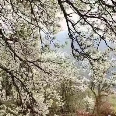微信图片_20220319112709.jpg 微信图片_20220319112709.jpg