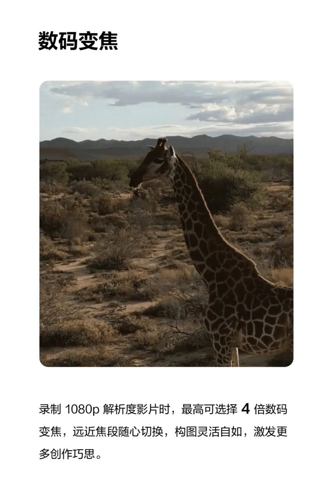 微信图片_20220513103510.jpg 微信图片_20220513103510.jpg