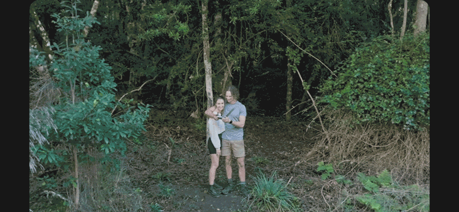 13.gif