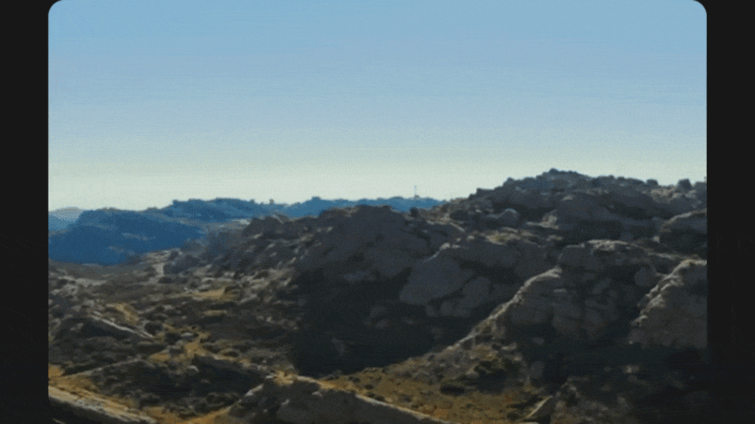 19.gif